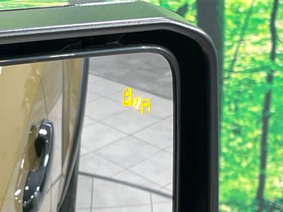 TOYOTA LAND CRUISER 250 - 7