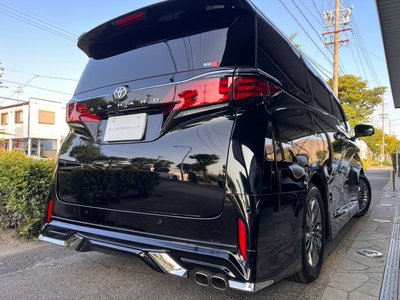 2024 Toyota ALPHARD 缩略图 18
