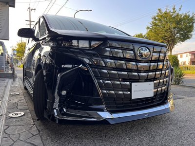 2024 Toyota ALPHARD 照片 9