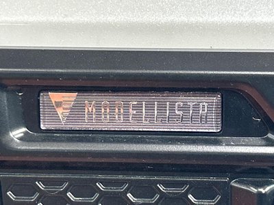 TOYOTA LAND CRUISER 250 - 4