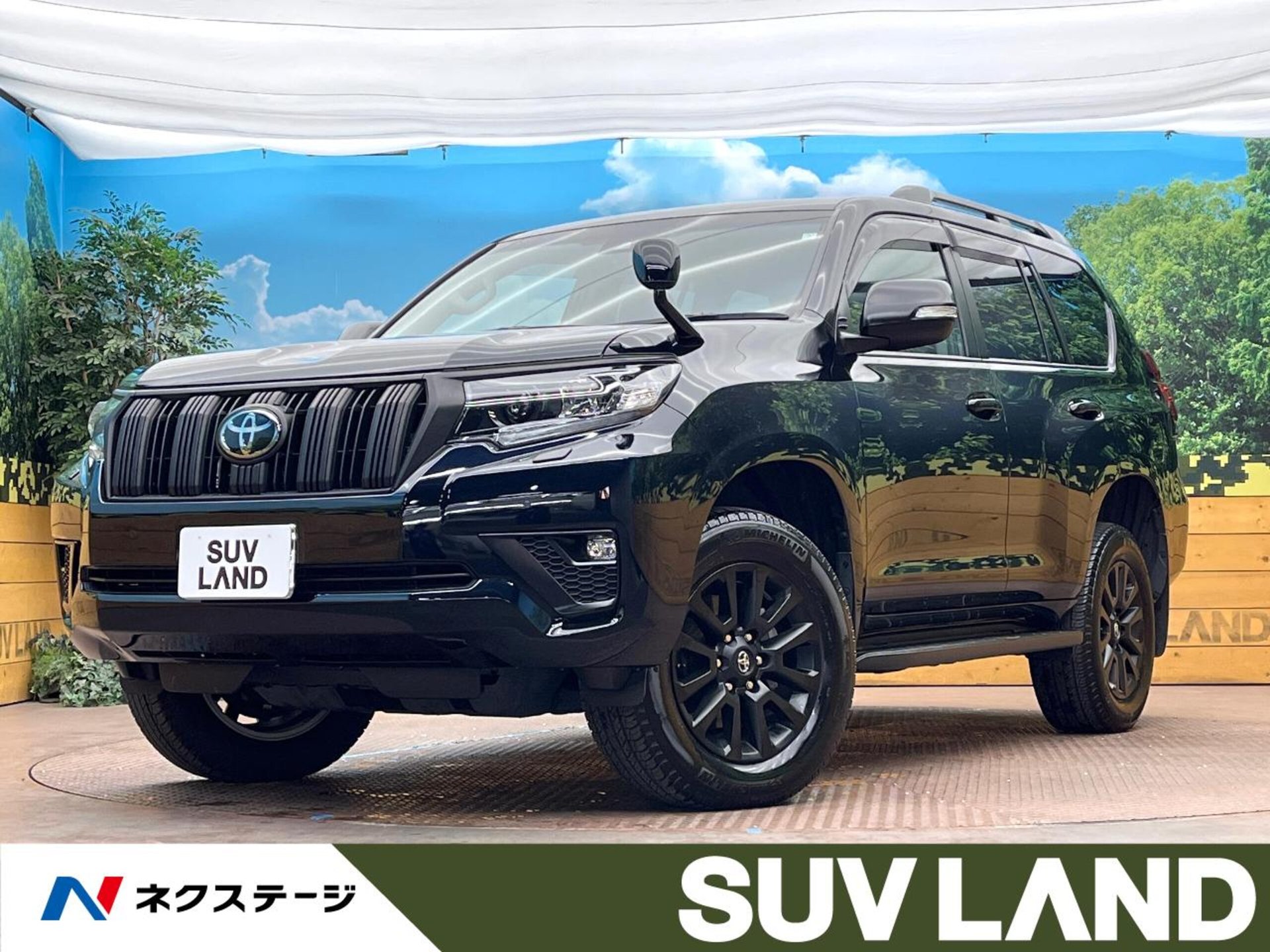 TOYOTA LAND CRUISER PRADO - View 1