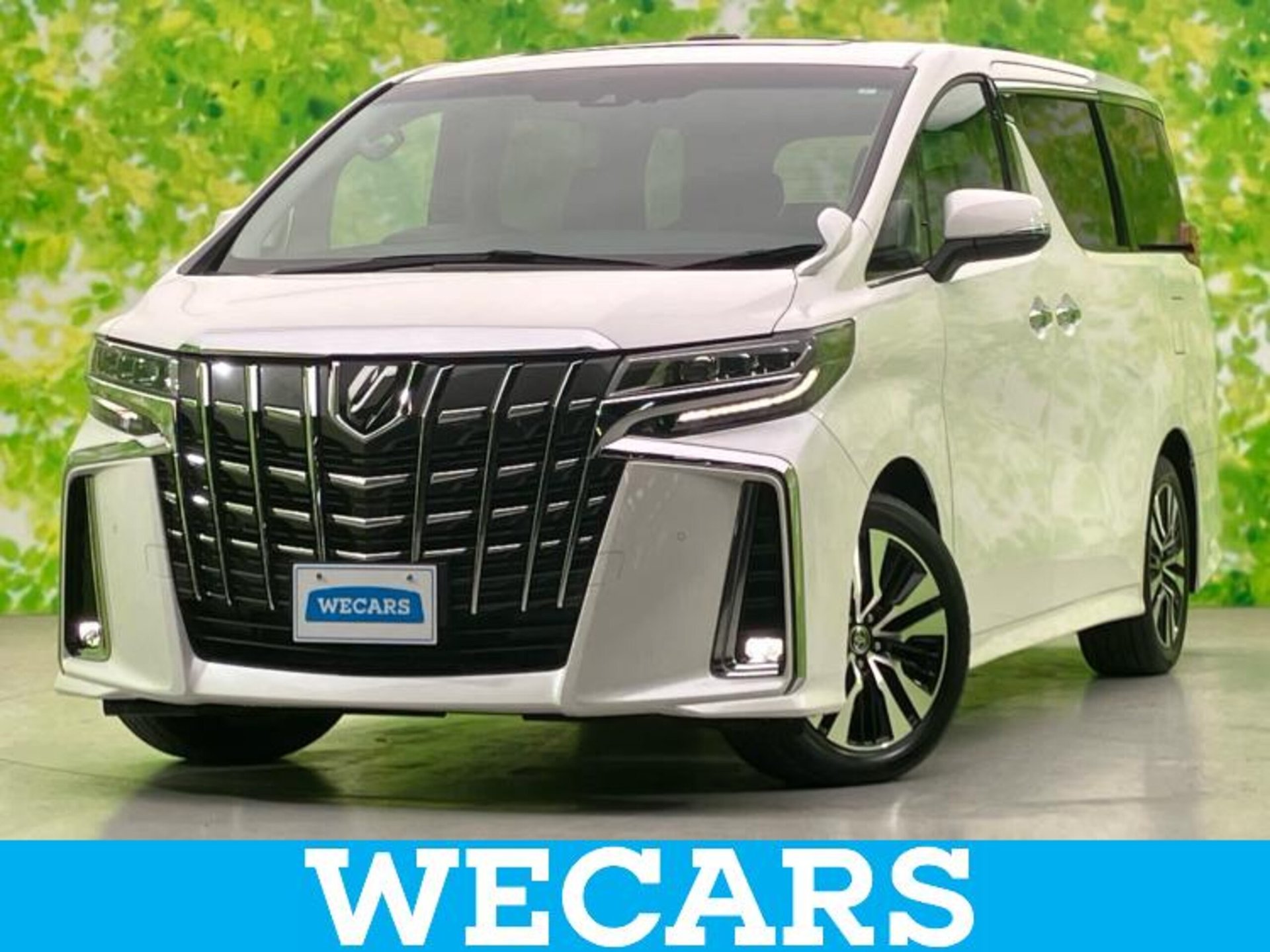 TOYOTA ALPHARD - View 1