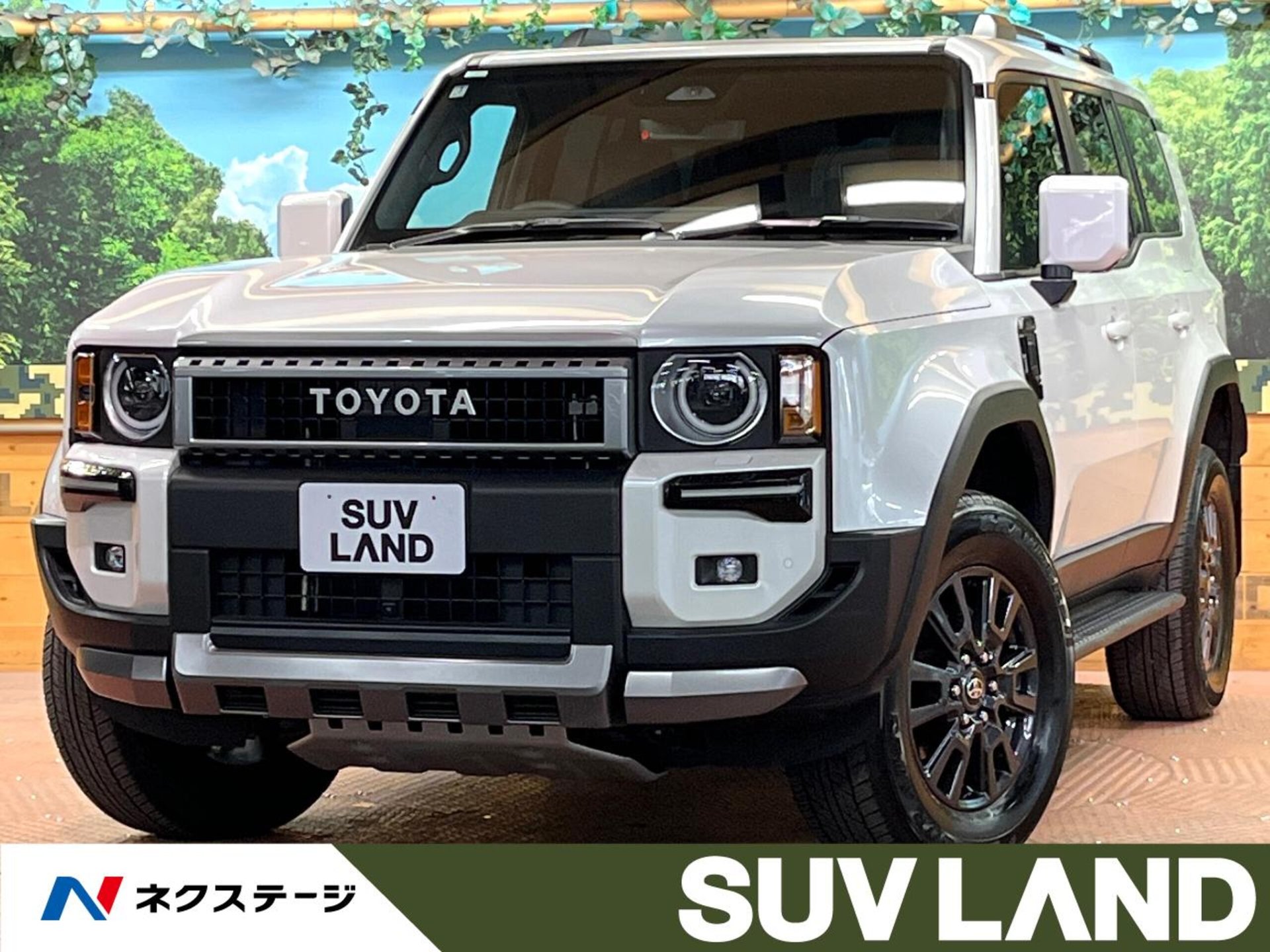 TOYOTA LAND CRUISER 250 - View 1