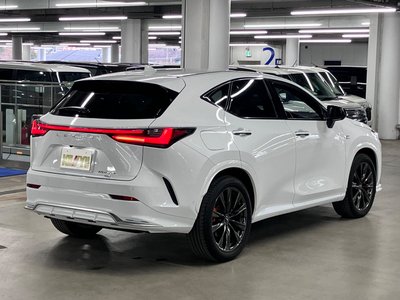 LEXUS NX - 6