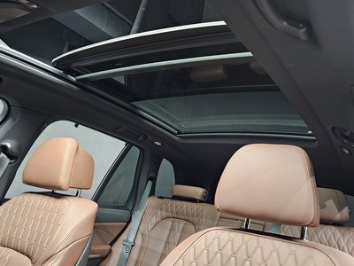 2025 BMW X5 缩略图 32