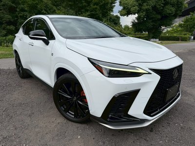 2023 Lexus NX — миниатюра 15