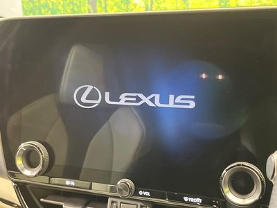 LEXUS NX - 4