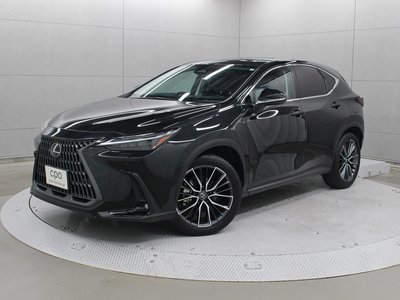 2023 Lexus NX — фото 1