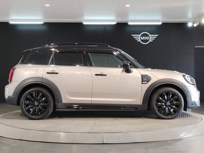 MINI MINI CROSSOVER - 9