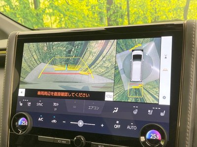 2024 Toyota ALPHARD 照片 6