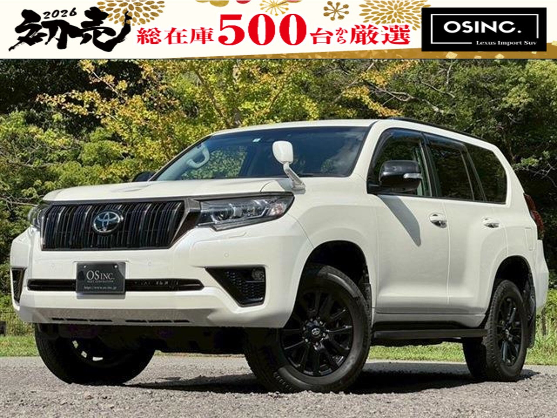 TOYOTA LAND CRUISER PRADO - View 1