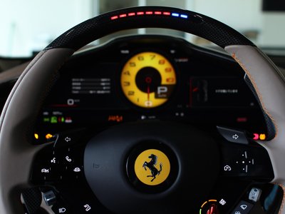 FERRARI PUROSANGUE - 9