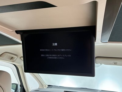 2025 Toyota ALPHARD 缩略图 45