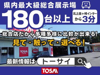 TOYOTA LAND CRUISER - 2