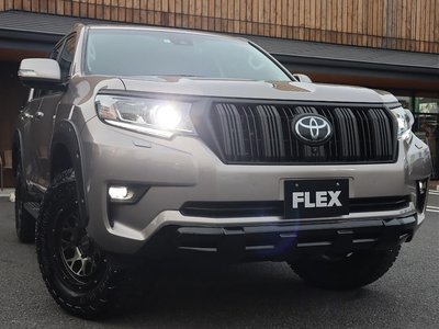 2021 Toyota LAND CRUISER PRADO 缩略图 51
