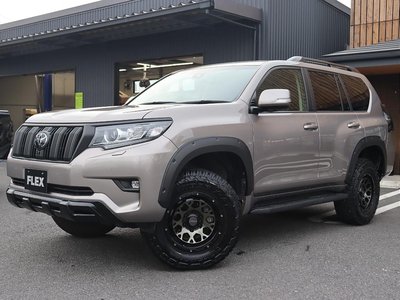 2021 Toyota LAND CRUISER PRADO 缩略图 45