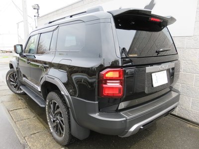 TOYOTA LAND CRUISER 250 - 4