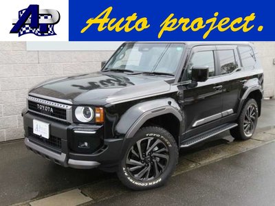 TOYOTA LAND CRUISER 250 - 1