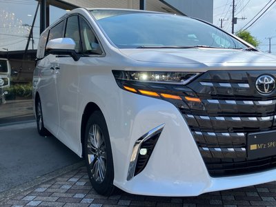 2026 Toyota ALPHARD 缩略图 42