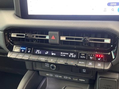 TOYOTA LAND CRUISER 250 - 6