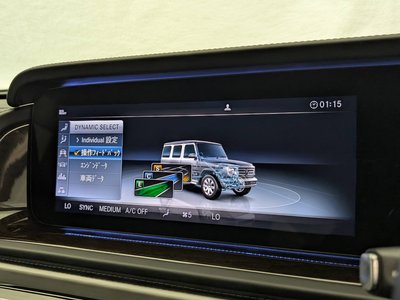 2021 Mercedes-BENZ G-CLASS 缩略图 33