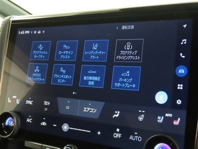 2025 TOYOTA ALPHARD photo 8