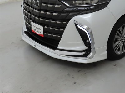 2025 TOYOTA ALPHARD photo 9