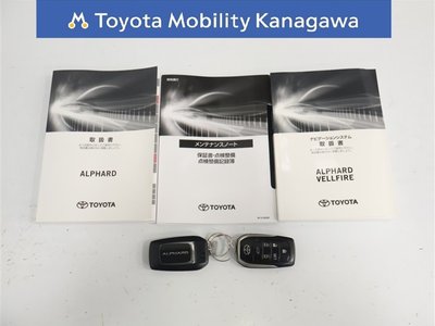 2023 TOYOTA ALPHARD — миниатюра 39