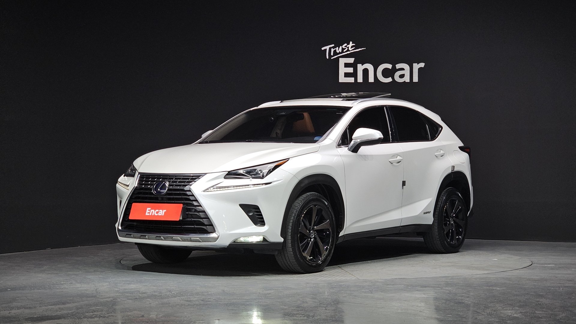 LEXUS NX - View 1