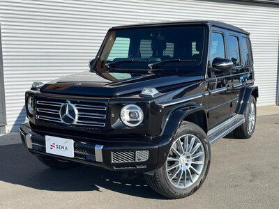 MERCEDES-BENZ G-CLASS