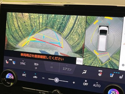 TOYOTA ALPHARD - 6