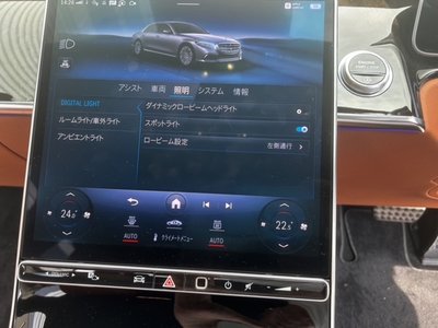 2021 Mercedes-BENZ S-CLASS thumbnail 27