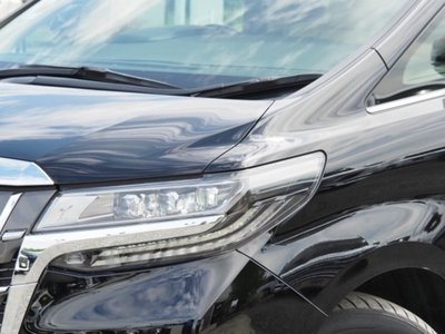 2023 Toyota ALPHARD 缩略图 13