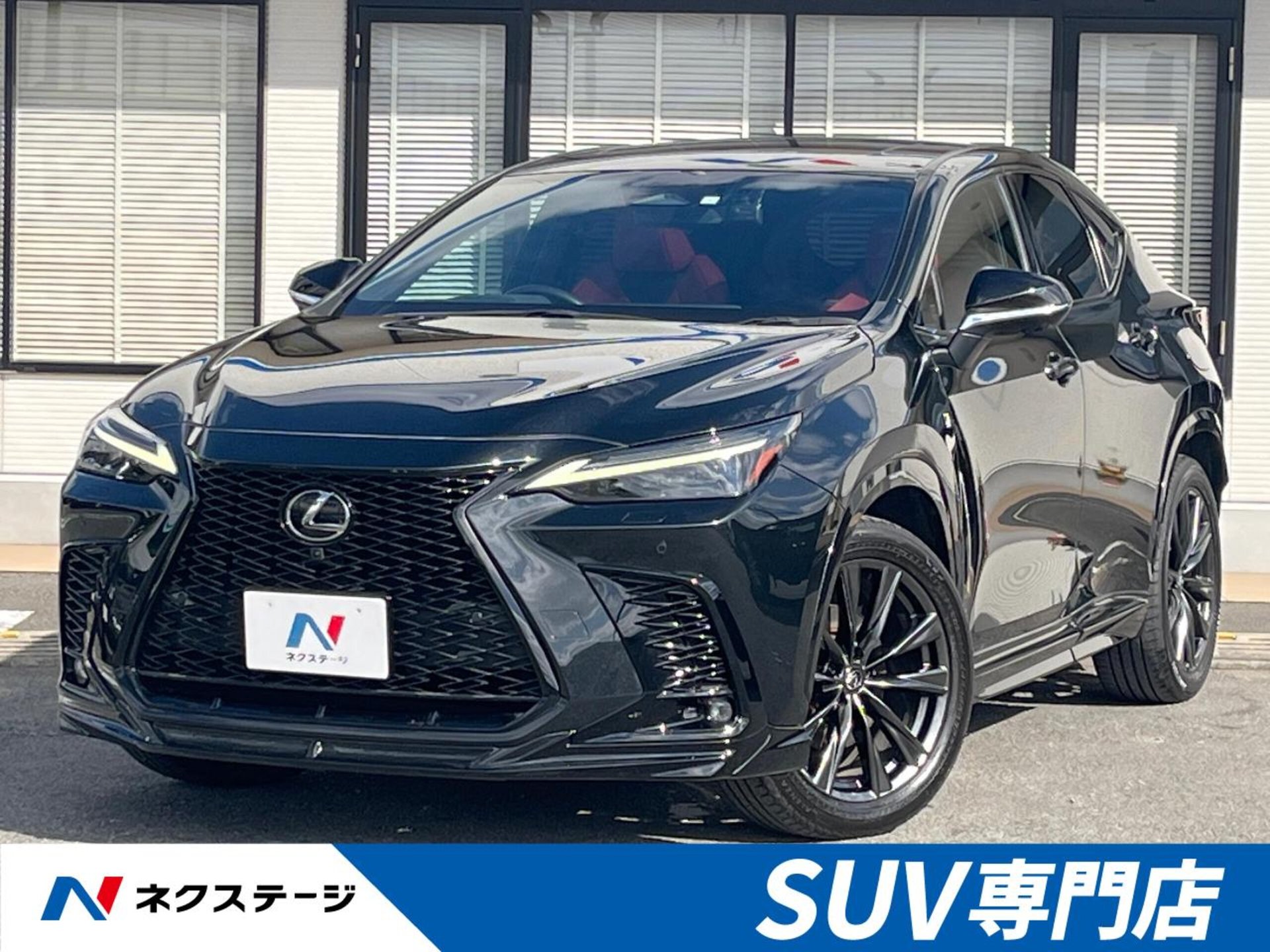 LEXUS NX - View 1