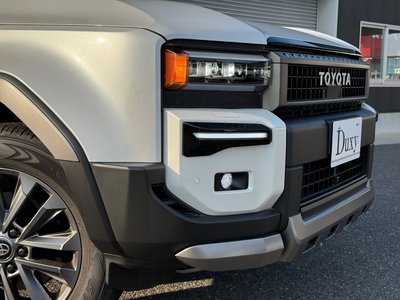 2025 Toyota LAND CRUISER 250 photo 9
