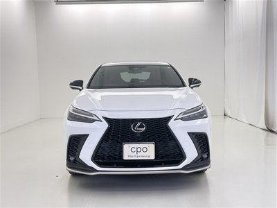 2023 Lexus NX 照片 3