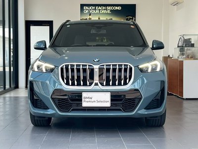 BMW X1 - 6