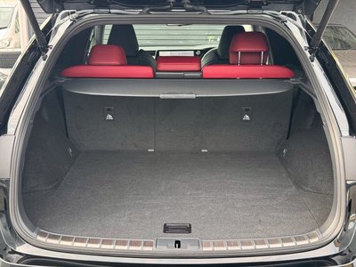 2024 Lexus RX 缩略图 58