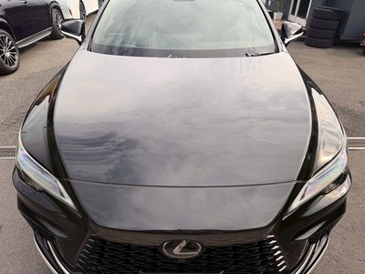 صورة 9 لـ 2024 Lexus RX