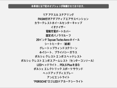 2022 Porsche TAYCAN 缩略图 21