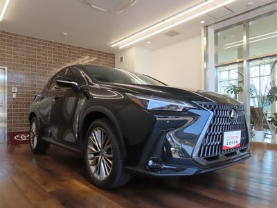 LEXUS NX - 5