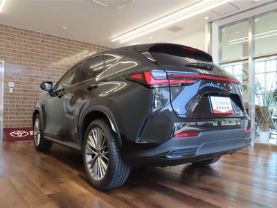 LEXUS NX - 8