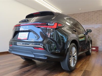LEXUS NX - 6