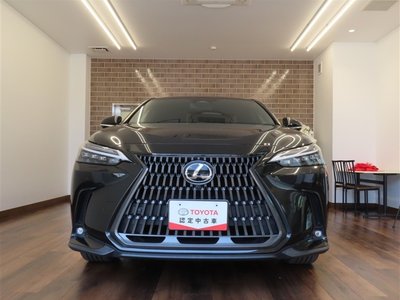 LEXUS NX - 4