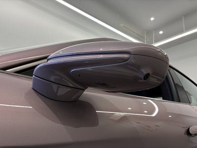 2025 Porsche TAYCAN photo 7