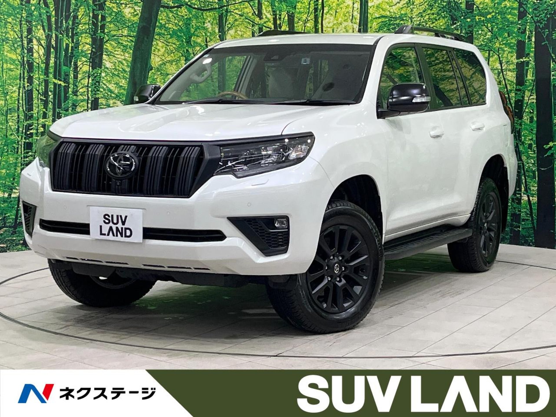 TOYOTA LAND CRUISER PRADO - View 1