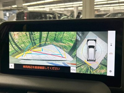 TOYOTA LAND CRUISER 250 - 5