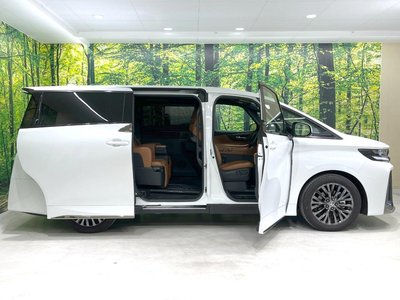 2025 Toyota VELLFIRE 缩略图 64