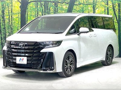 2025 Toyota VELLFIRE 缩略图 17