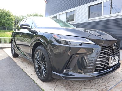 LEXUS RX - 3